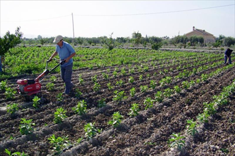 Un campesino realiza sus labores en una finca de agricultura ecológica