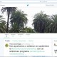 Cabecera de la página de Twitter municipal