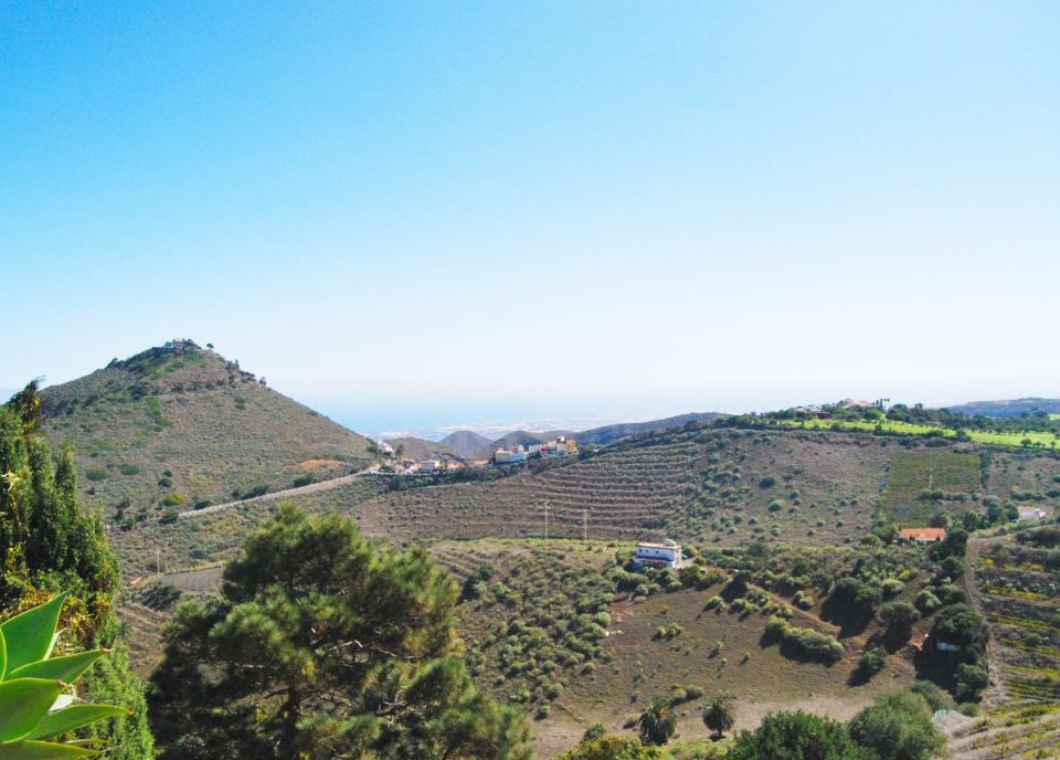 Viñedos en la zona volcánica de Bandama