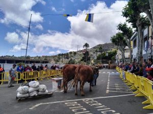 Exhibición de arrastre