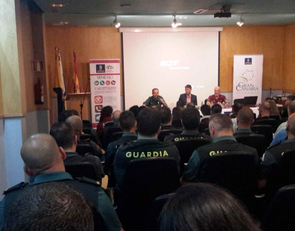 Un aspecto de la reunión