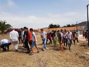 Imagen de la plantación del bosque solidario junto al IES Santa Brígida