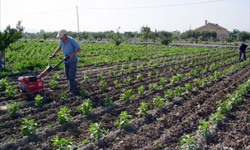 Un campesino realiza sus labores en una finca de agricultura ecológica