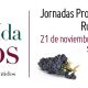 Cartel jornadas rutas turísticas del vino