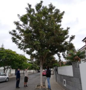 Los técnicos en una urbanización de la Villa