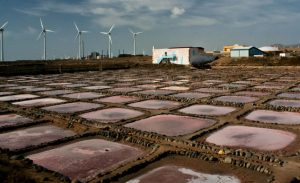 Imagen de las salinas de Tenefé