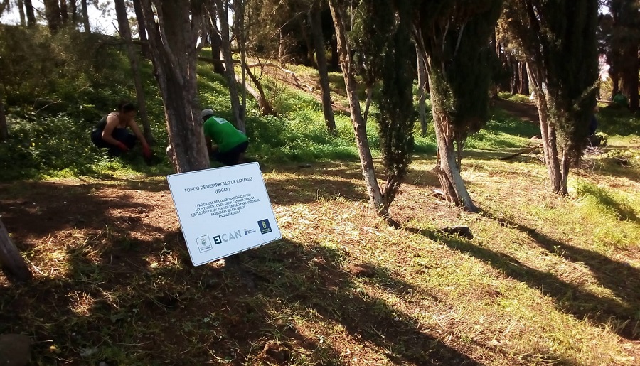 Imagen de trabajadores de un plan de emplejo del municipio